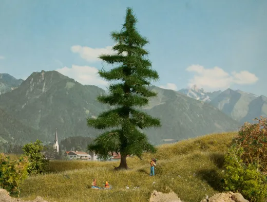 *Nordmanntanne 18,5 cm hoch