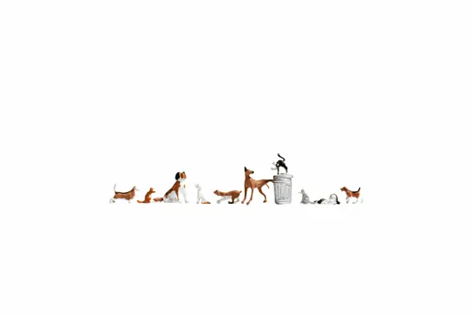 Hunde & Katzen TT