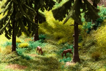 *Vegetations-Startsets Im Wald