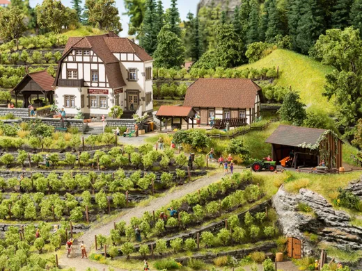 L-C N Weingut Hauser-Bühler