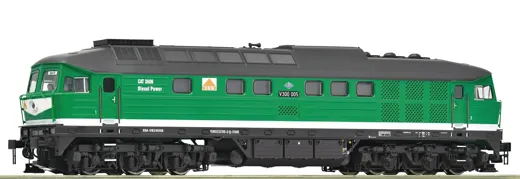 Diesellokomotive V 300 005, SBW, Privatbahn