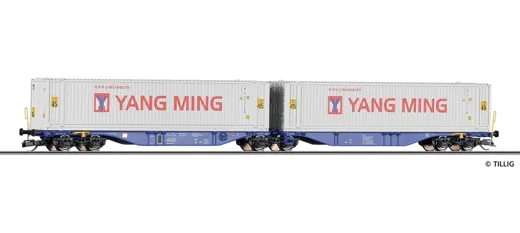 Containertragwagen ITL