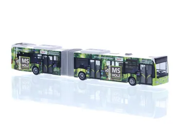 MB Citaro G '15 ESWE Wiesbaden - MS Holzfachmarkt