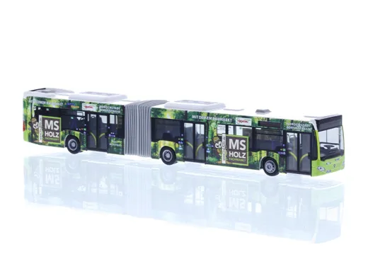 MB Citaro G '15 ESWE Wiesbaden - MS Holzfachmarkt