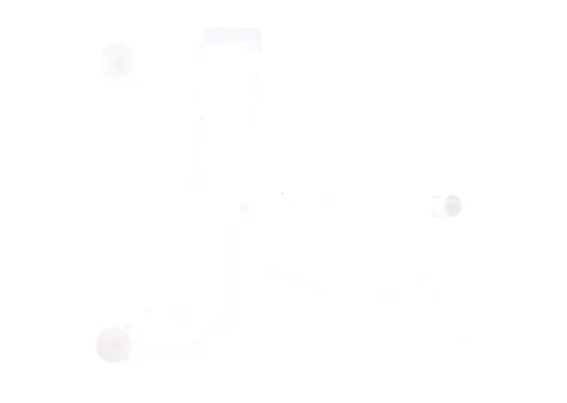 Lichtkörper