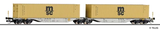 Containertragwagen AAE