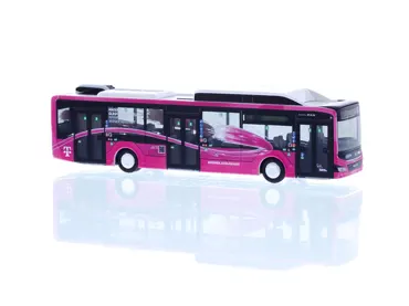 MAN Lion´s City 12´18 CNG Wiener Neustadt - Magenta (AT)