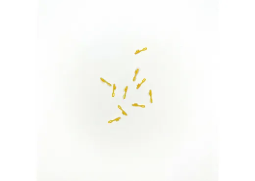 Rangierergriff   10 St