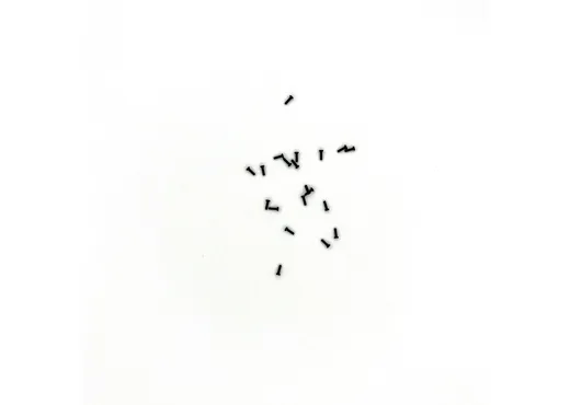 Zylinderschraube M1,2x3,5 (10