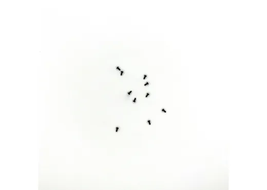 Linsenkopfschraube 1,4x3 (10