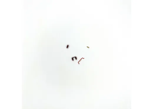 Isolatoren, Leitung, Pfeife