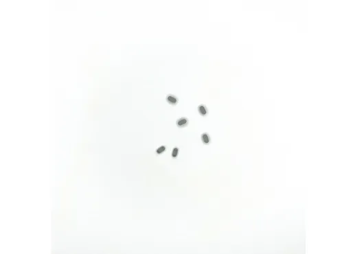 Haltebügel grau 6 St