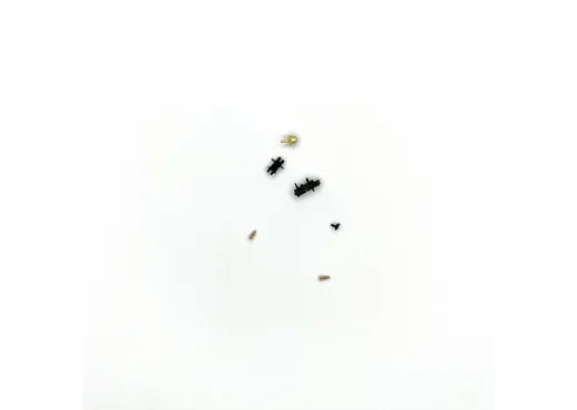 Ventil, Glocke, Pumpe, Handra