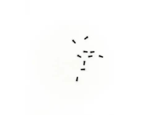 Schraube M1,7x5  10 St