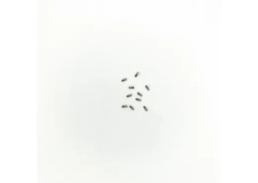 Schaftschraube M1,4 x 2,0 ( 1