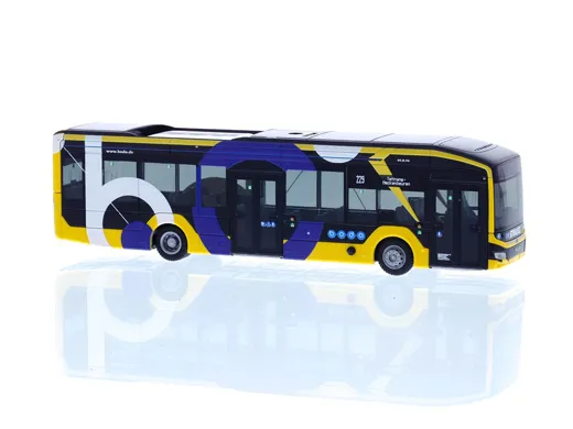 MAN Lion´s City 12 E Bodensee-Oberschwaben Verkehrsverbund-Strauss Reisen