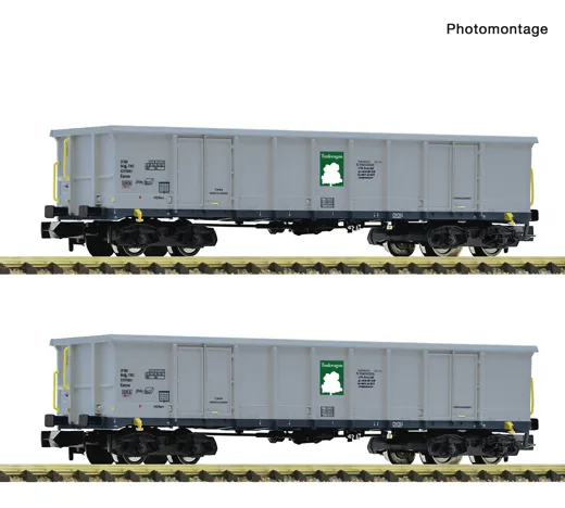 2-tlg. Set: Offene Güterwagen, Tankwagon, Privatbahn
