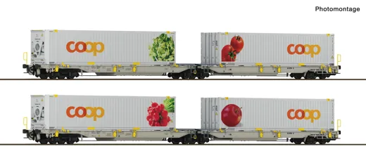 2-tlg. Set 1: Doppeltaschen-Gelenkwagen T2000, railCare, Privatbahn