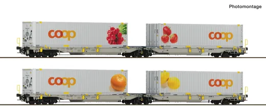 2-tlg. Set 2: Doppeltaschen-Gelenkwagen T2000, railCare, Privatbahn