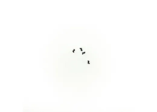 Lampenhalter schwarz 4 St