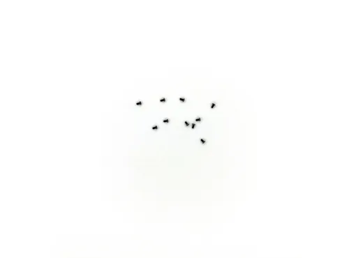 Senkschraube M1,4x3   10 St