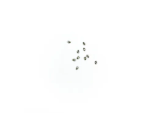 Flachkopfschraube M2x6  10 St