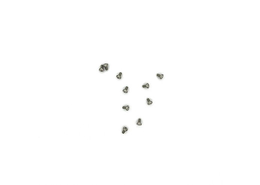 Linsenschraube M2,5x4   10 St