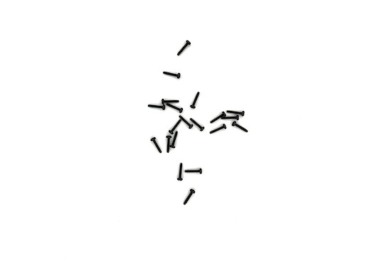 Linsenkopfschraube 2x10 (10 S