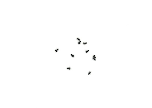 Zylinderschraube M2x4   10 St