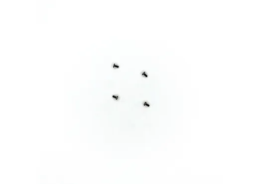 Schraube M2x4 (4 St)