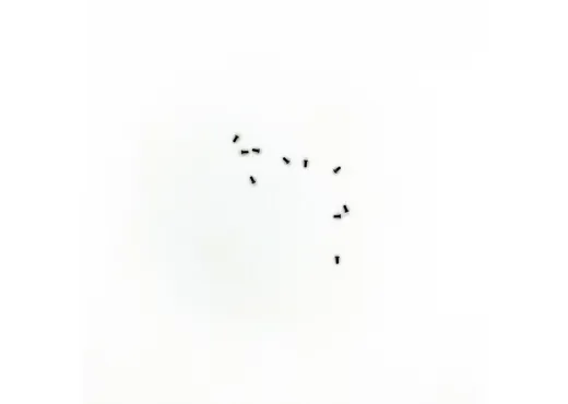 Senkschraube M1,2x2,8 (10 St)