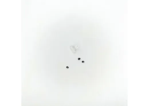 Lampen u. Lichtkörper