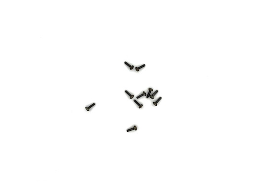 Linsenschraube 2,5x8  10 St