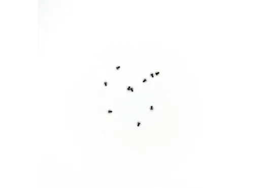 Senkschraube M1,4x3   10 St