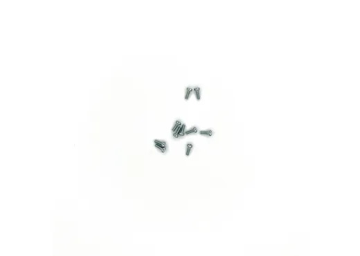 Linsenschraube M2x6   10 St