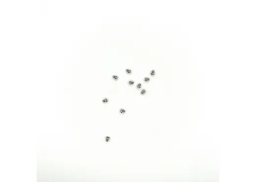 Plastite-Schraube M2x3  10 St