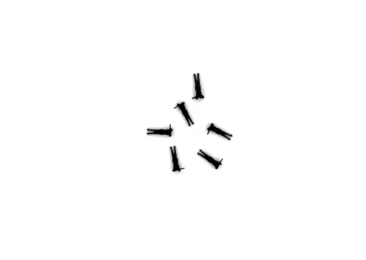 Kupplungsimitation schwarz  6