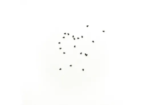 Zylinderschraube M1x2   10 St