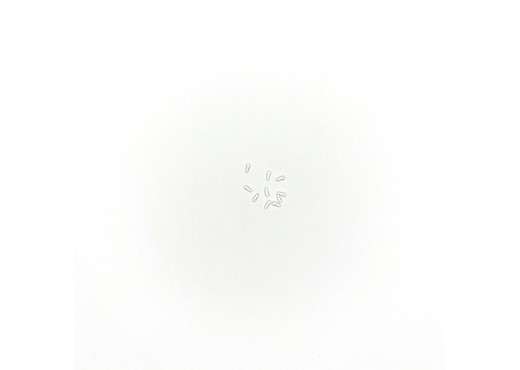 Steckdose-UIC weiss  10 St