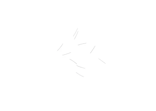 Federstab 0,12x13,6 (10 St)