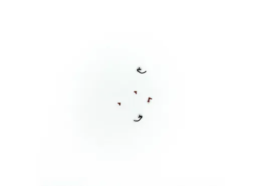 Leiter, Schlauch, Halter