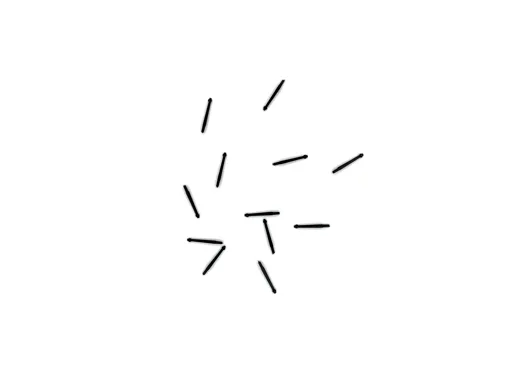 Runge (Inhalt 12 Stück)