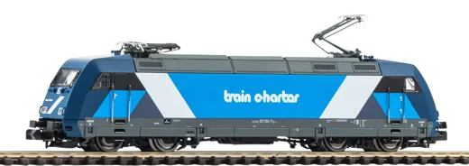 N E-Lok BR 101 Train Charter VI, Privatbahn