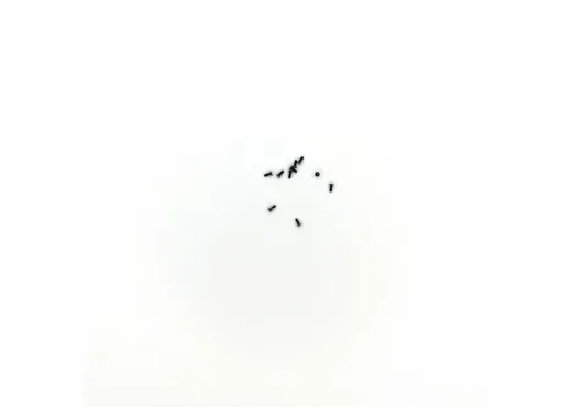 Sechskantansatzschraube M1,2x