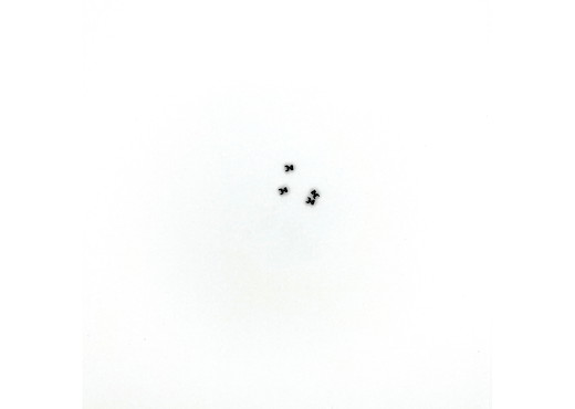 Kupplungskopf-Übergang  4 St