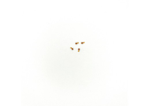 Signalscheibe gelb 4 St