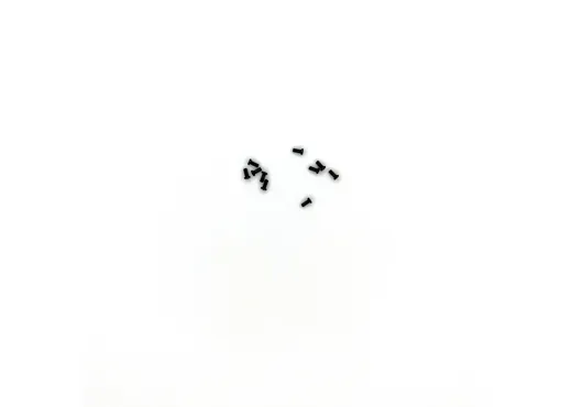 Linsenschraube M2x4  10 St