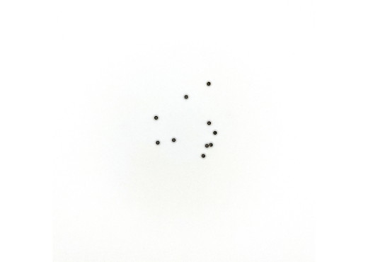 Sechskantmutter 10 St