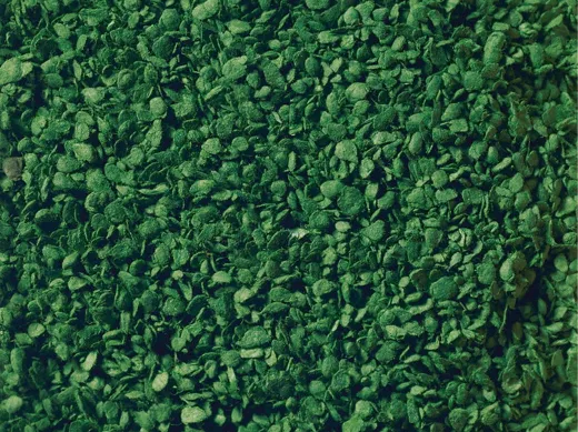 Laub mittelgrün 50g Beutel