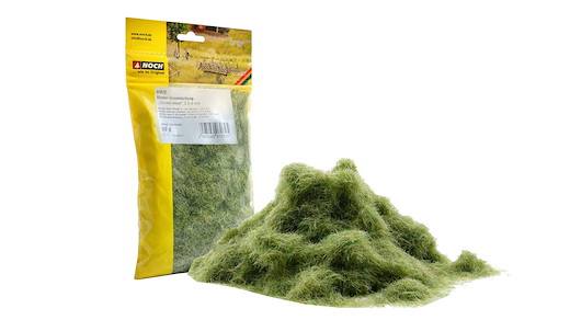 Grasmischung Sommerwiese 50g Beutel
